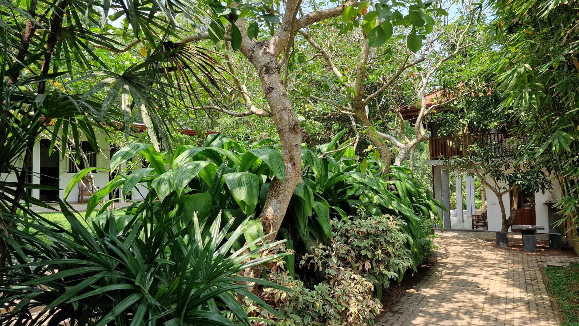 Villa Arana Bentota Luaran gambar